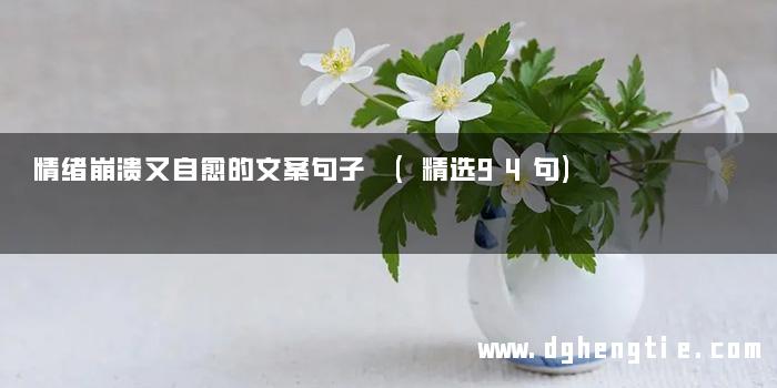 情绪崩溃又自愈的文案句子 (精选94句)